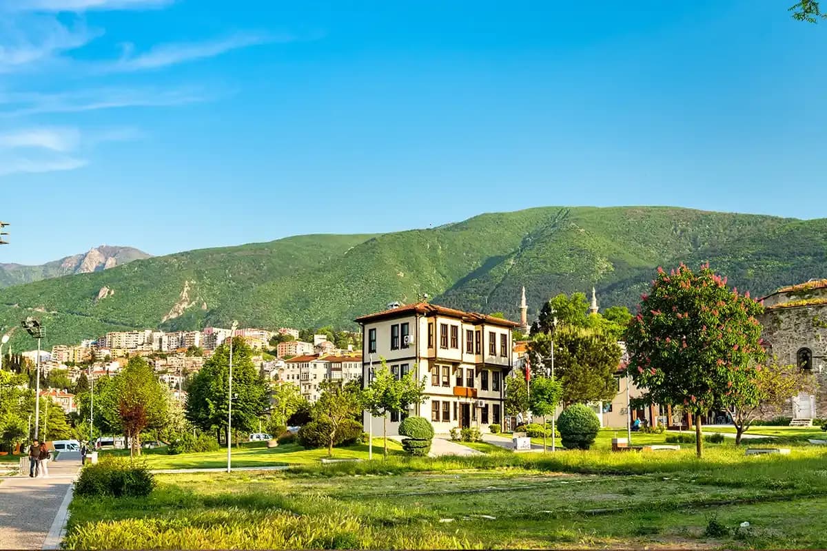 Bursa